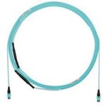 FXBLCLCE2LM005Panduit Corp