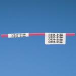 N100X175CBCPanduit Corp