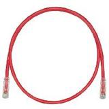 UTPSP100RDYPanduit Corp