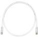 UTPSP8Y-QPanduit Corp