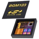 BGM123N256V2RSilicon Labs