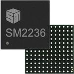 SM223GX060000-ACSilicon Motion, Inc.