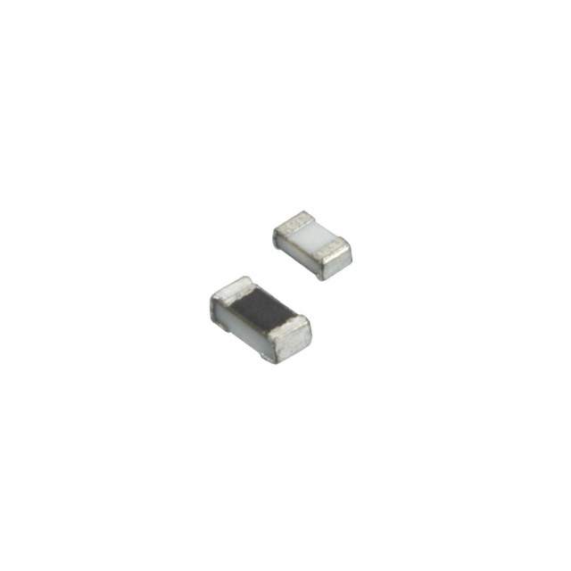 Susumu RG1005P-1400-B-T5