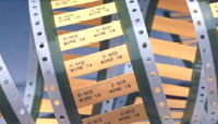 D-SCE-1K-12-50-S1-9TE Connectivity Raychem Cable Protection