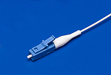 1060243259Molex