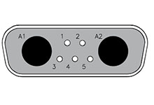 1731070141Molex