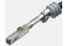 340815003MOLEX
