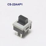 CS-22AAP1NKK Switches
