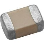 Vishay 05006-BX102XKUMT