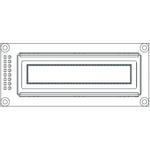 OLED-100H016C-WPP5N00000Vishay
