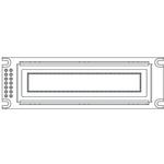 OLED-100H016D-GPP5N00000Vishay
