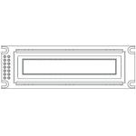 OLED-100H016D-RPP5N00000Vishay