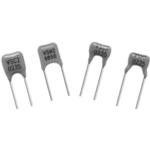 Y0875583R000B9BVishay Precision Group