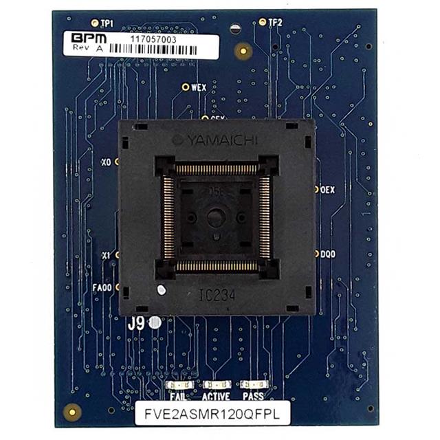 FVE2ASMR120QFPLBPM Microsystems