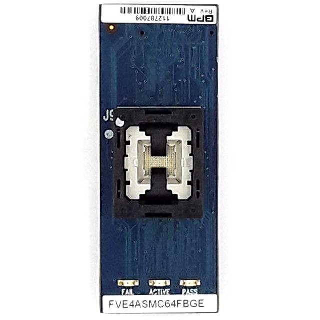 FVE4ASMC64FBGEBPM Microsystems