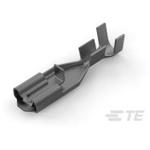 170331-1TE Connectivity
