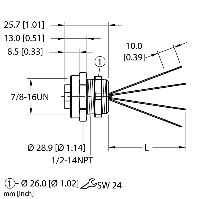 RKF 40-xM/NPT W/LNturck