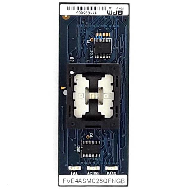 FVE4ASMC28QFNGBBPM Microsystems