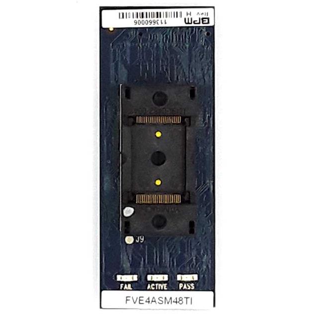 FVE4ASM48TSBPM Microsystems