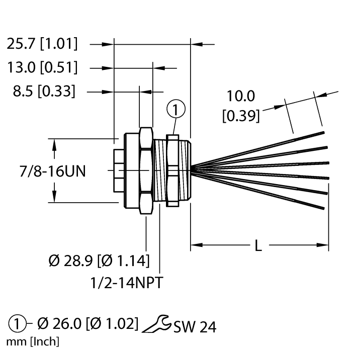 RKF 68-xM/NPT W/LNturck