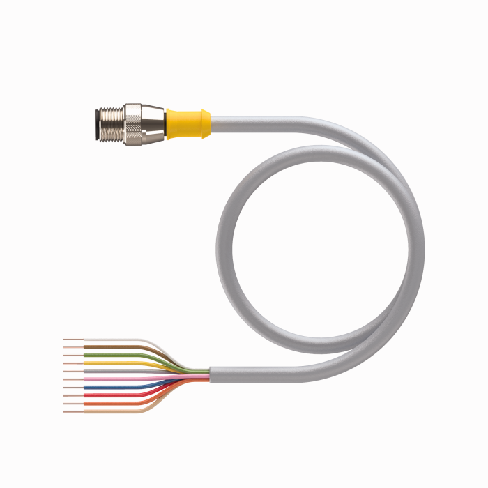 RS 10T-xturck