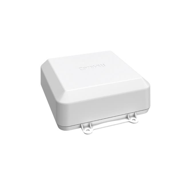 CHW1010-LOCN1-1.0CoreHW Semiconductor Ltd