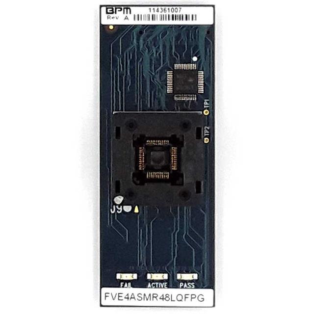 FVE4ASMR48LQFPGBPM Microsystems