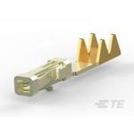 2-487406-3TE Connectivity