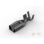 175024-1TE Connectivity