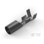 170003-4TE Connectivity