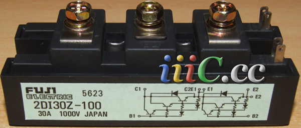 2DI30Z-100Fuji