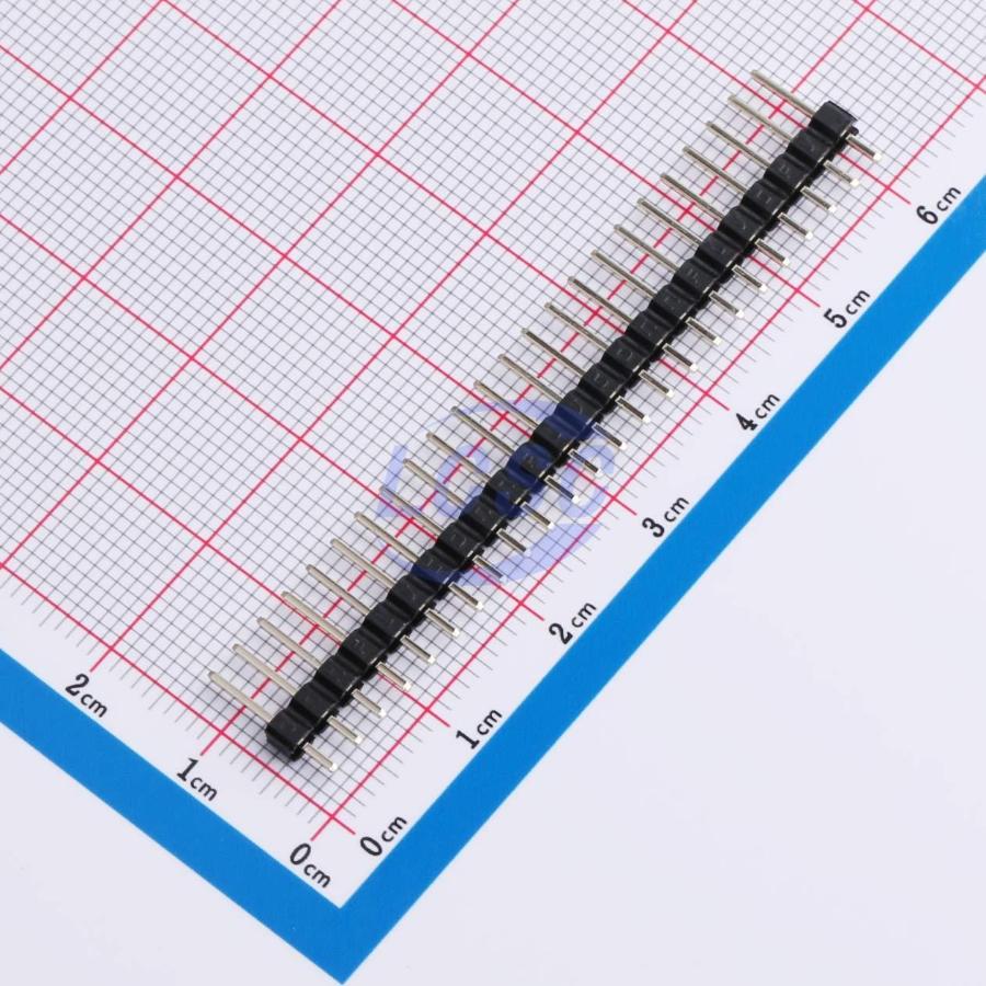 DS1021-1x24SF11-BCONNFLY Elec