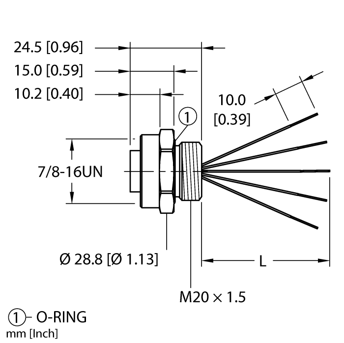RKF 55-xM/M20turck