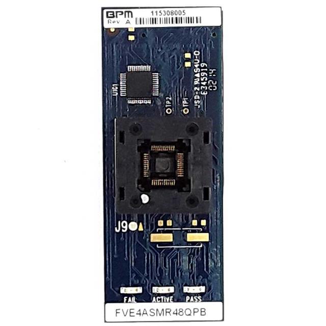 FVE4ASMR48QPBBPM Microsystems