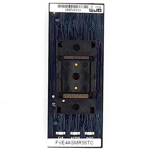 FVE4ASMR56TCLBPM Microsystems