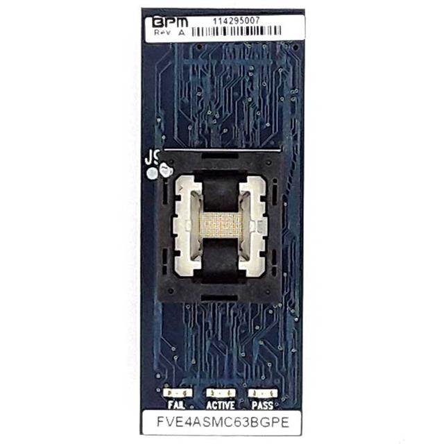 FVE4ASMC63BGPEBPM Microsystems