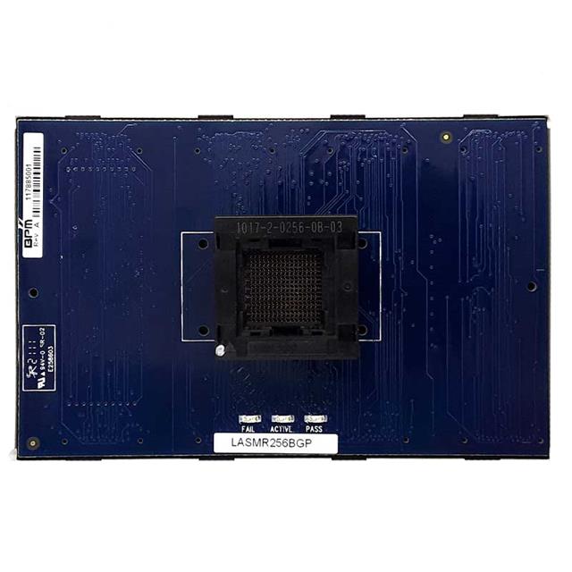 WX4ASM48BGJBPM Microsystems
