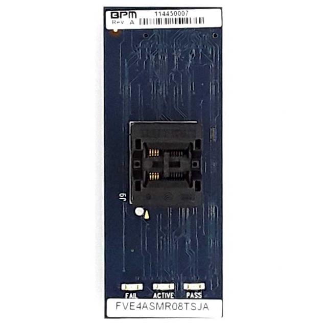 FVE4ASMR08TSJABPM Microsystems