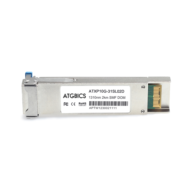 XFP-10G-SM-LRM-CATGBICS