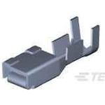 316041-6TE Connectivity