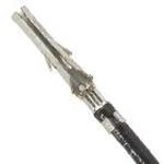 797582053Molex