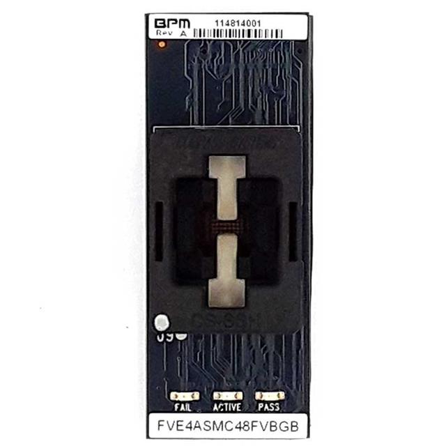 FVE4ASMC48FVBGBBPM Microsystems