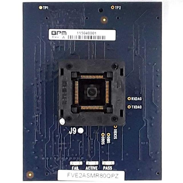 FVE4ASMR08SMBBPM Microsystems