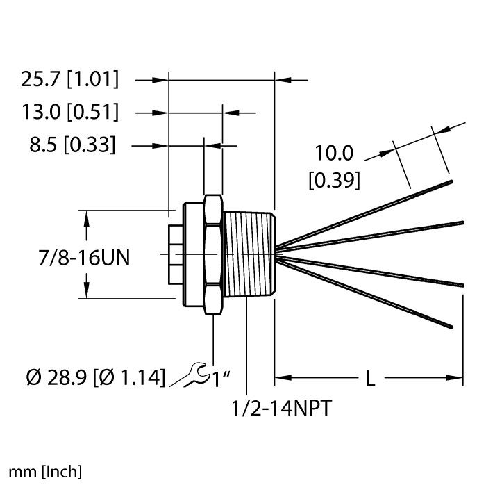 RKF 46-xM/NPTturck