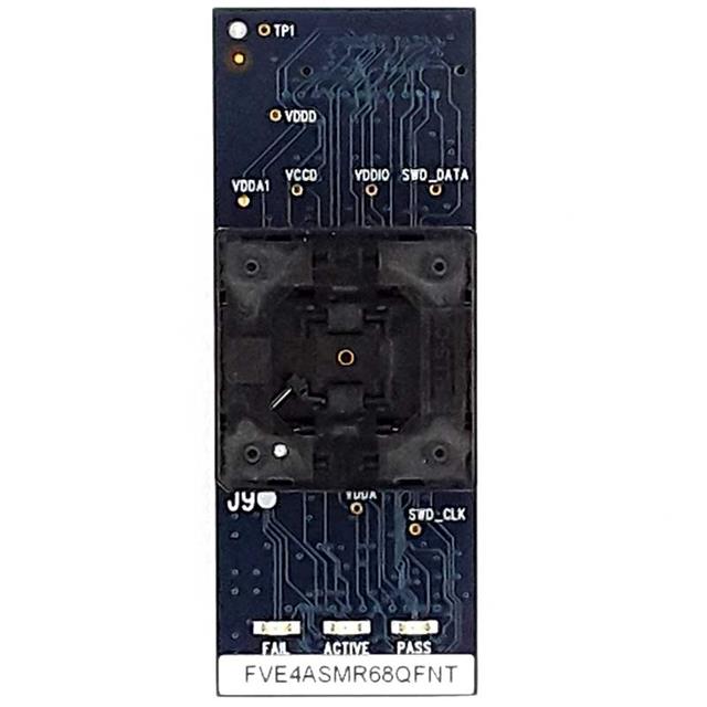 FVEASM400BGCBPM Microsystems