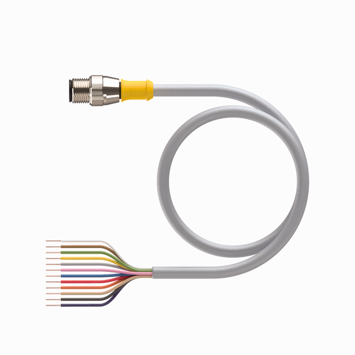 RS 12T-xturck
