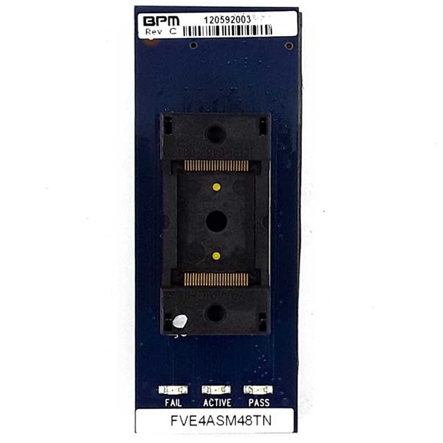FVE4ASM48TXBPM Microsystems