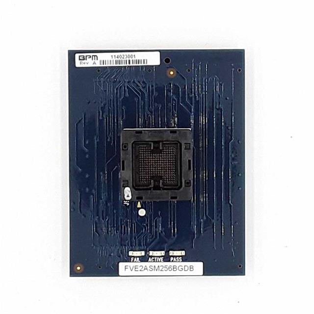 FVE2ASM256BGDBBPM Microsystems