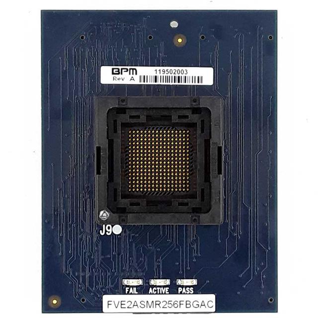 FVE4ASMC08DFNLBPM Microsystems