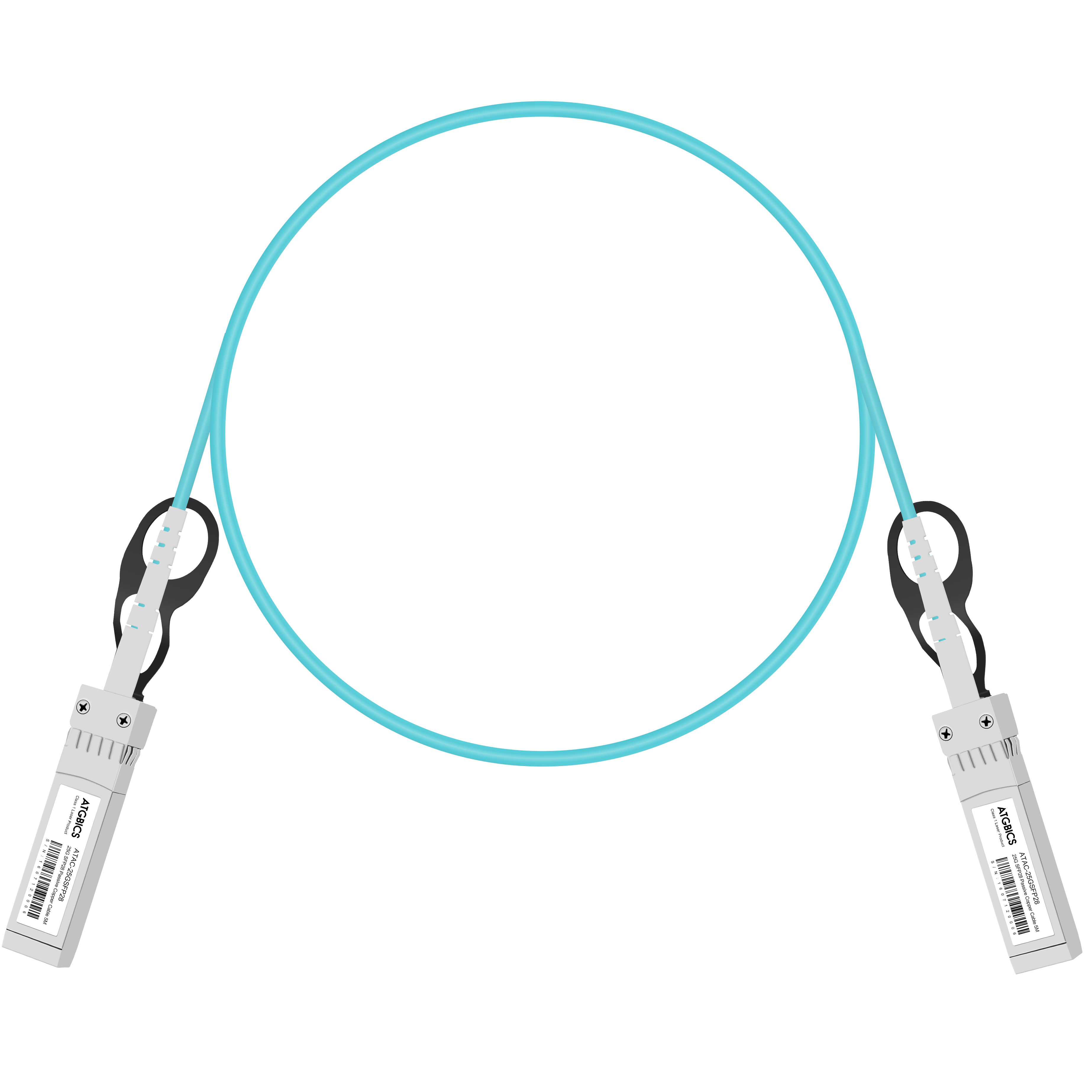 SFP-25G-AOC2M-CATGBICS
